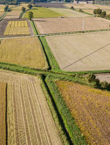 Campi mietitura dal drone